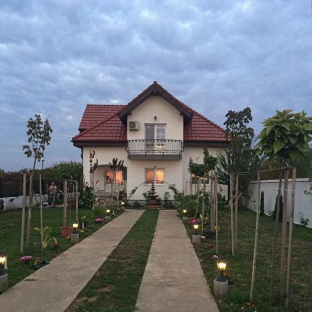 Balotesti House | Blue Sky House