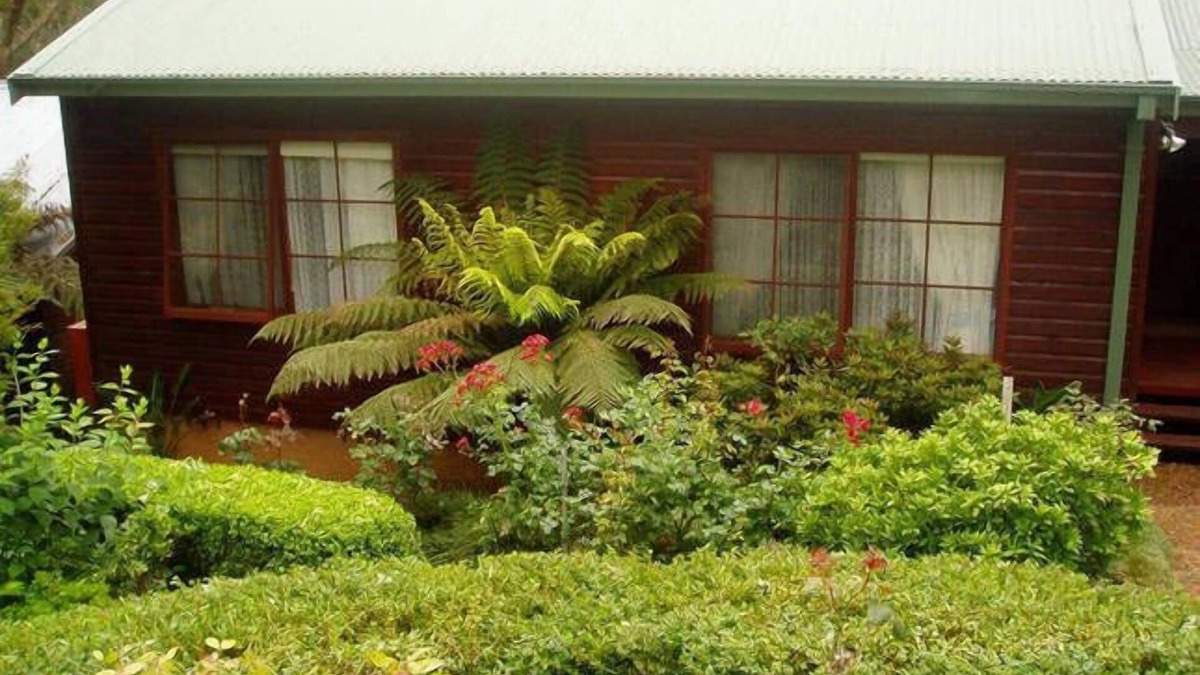 Leura House | Bluebell Cottage set amongst the trees which attract many native birds.
