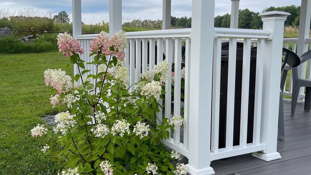 Washington Bed & Breakfast | Blueberry Fields B&B