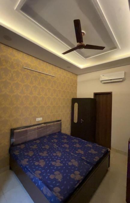 Phagwara House | BLUEBERRY PG
