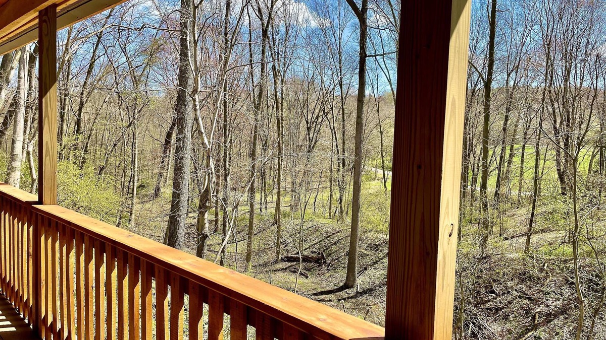 Lakeville Cottage | Bluebird Hollow is a cozy little home in the woods