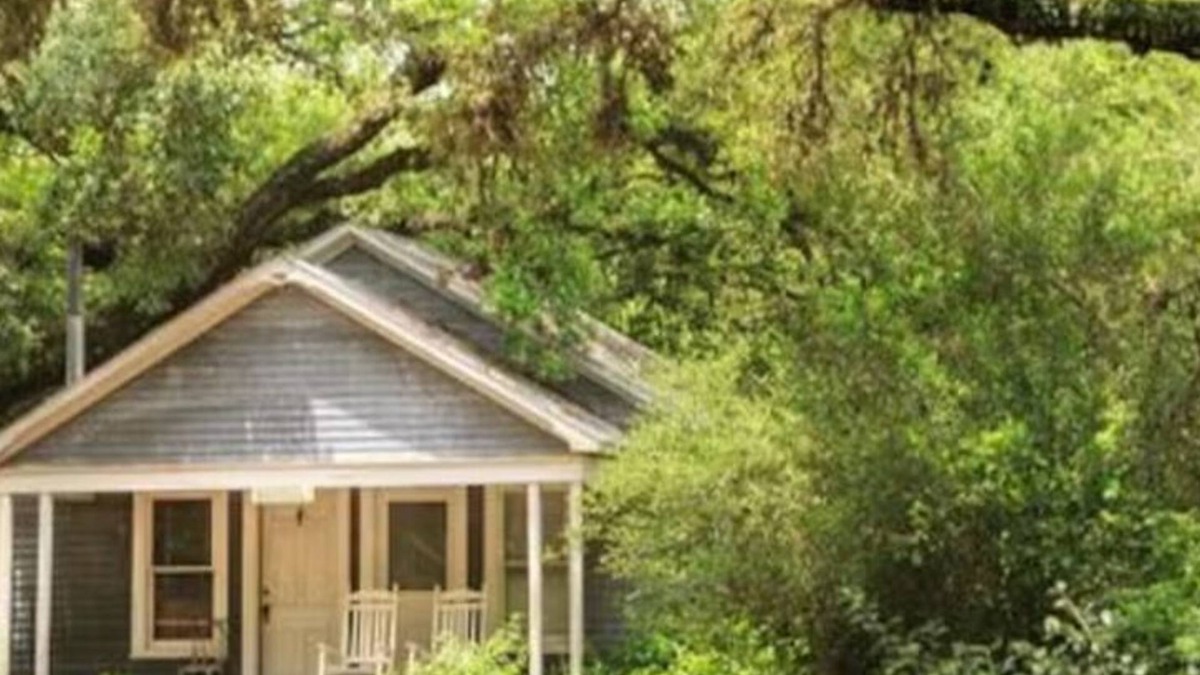 Cat Spring House | Bluebonnet Bungalow with Private Hot Tub & options to enjoy fun Exotic Animal Safari!