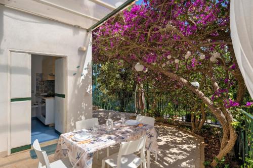 Erchie House | Bluegreen 2 Apartments Amalfi Coast