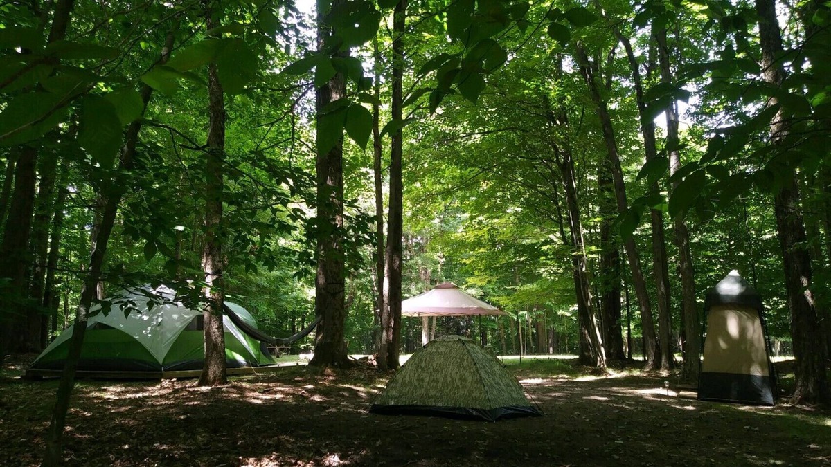 Wellsville RV Rental | BlueMoon - quiet, private, secluded