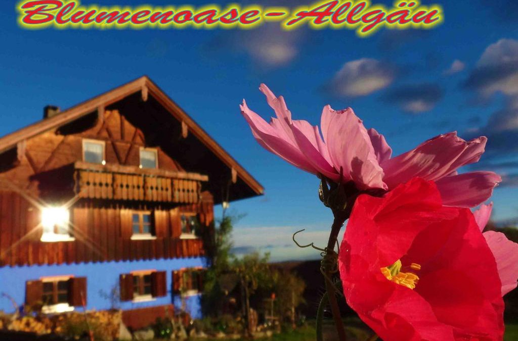 Schwanden Apartment | Blumenoase Allgäu