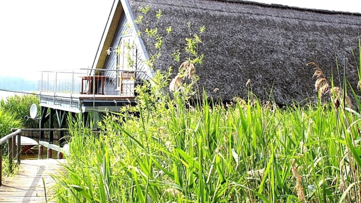 Basedow Apartment | Boathouse II
