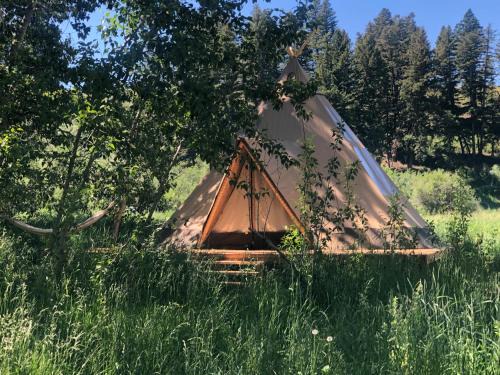 Bozeman Other | Bodhi Farms