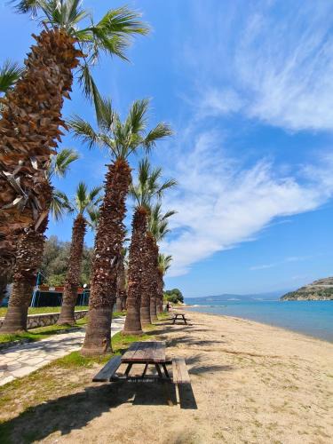 Bogazici House | Bodrum Bosphorus Beachfront Villa for 9 people