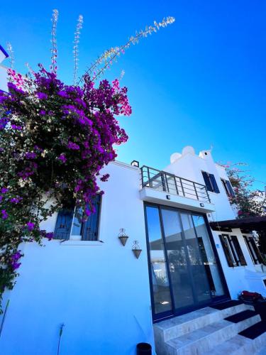 Gundogan Villa | Bodrum Yalıkavak Villa