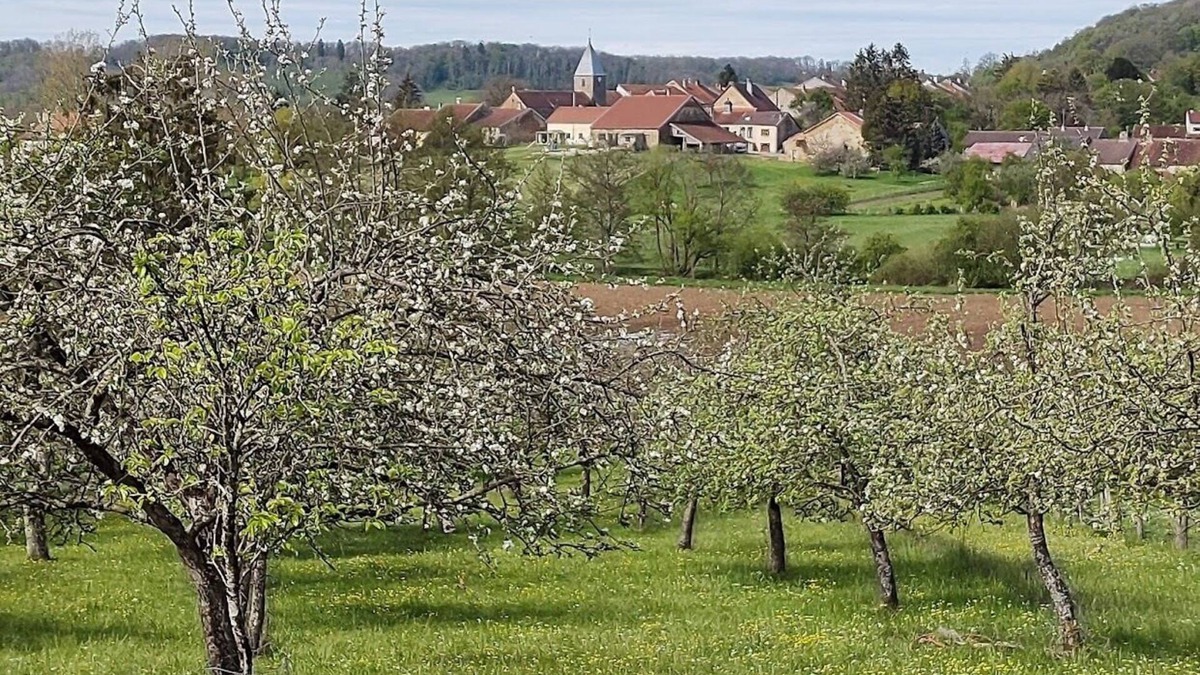Laferte-sur-Amance House | Boerderij , 8 Persoons met Zwembad en Groots Uitzicht