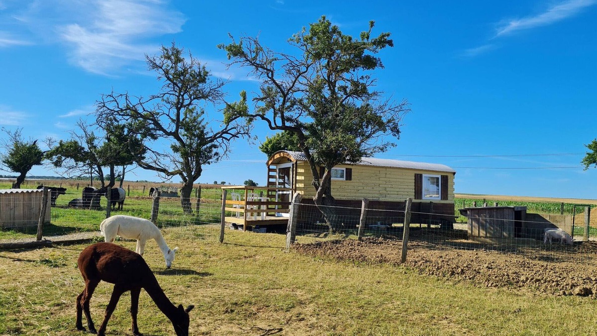 Burthecourt-aux-Chenes Cottage | Bohemian Caravan Comfort South of Nancy