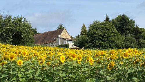 La Coquille House | Bonnes Routes - 4 star gite in the Perigord Vert