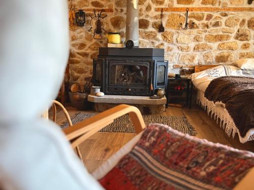 Beden House | Books Houses