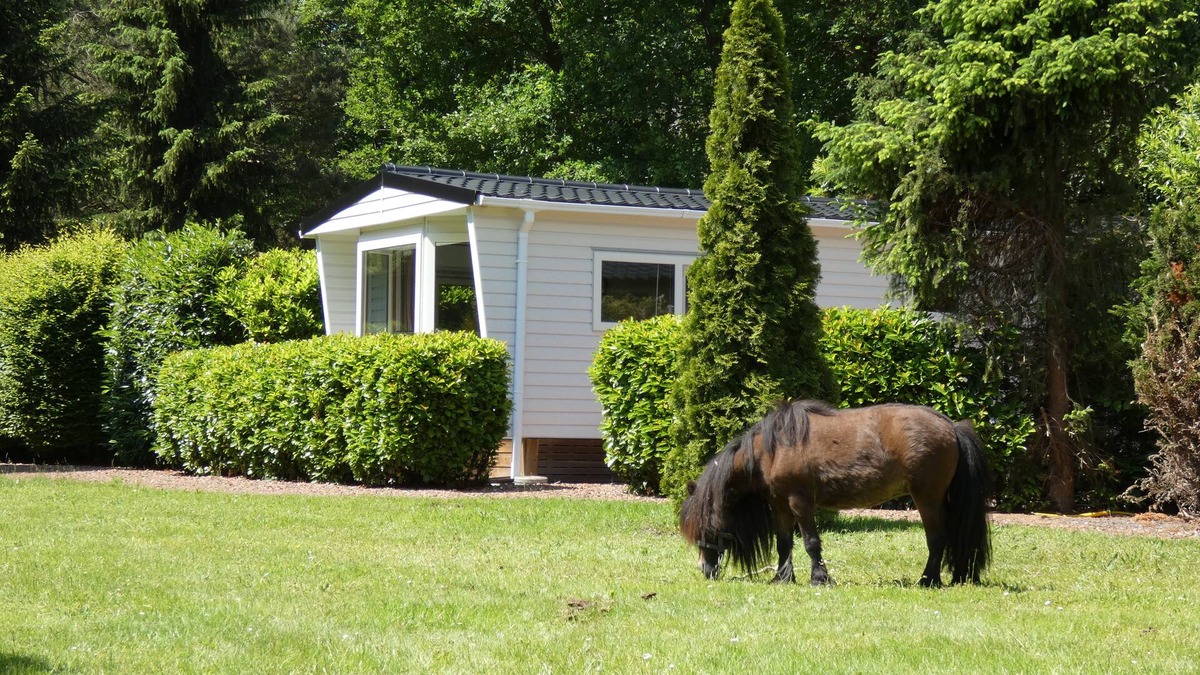 Marum Ski Chalet | Boshuisje op rustiek terrein
