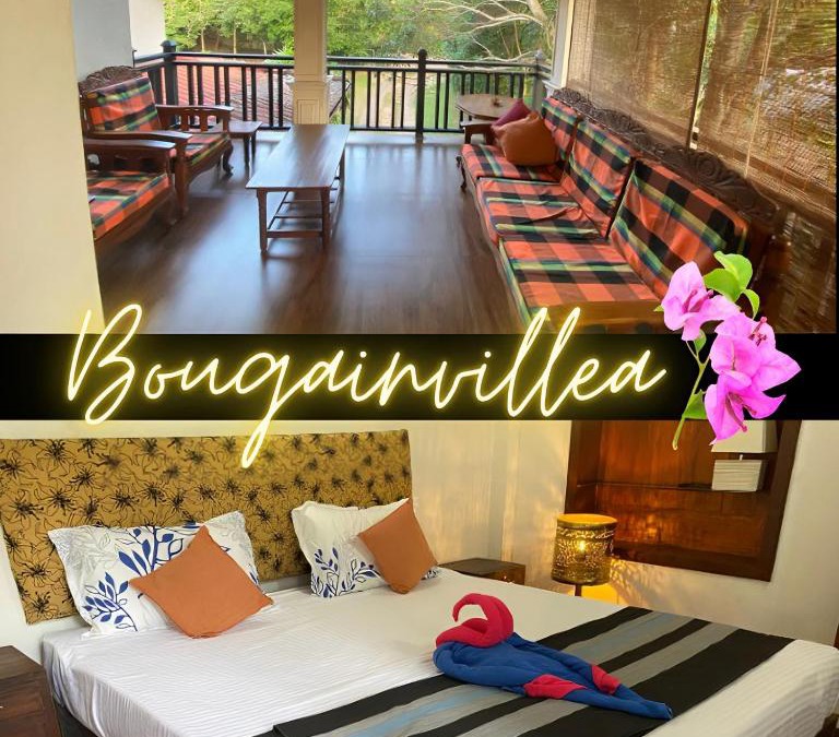 Matara House | Bougainvillea