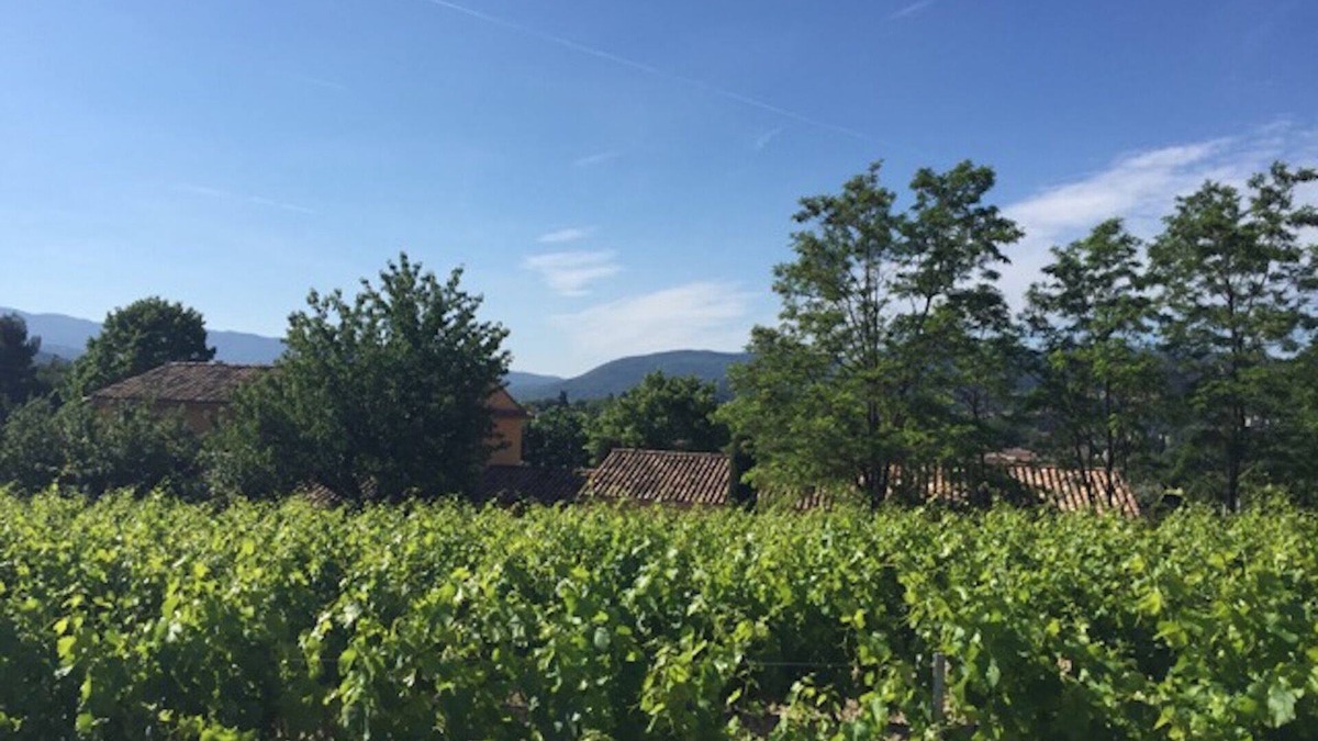 Vaison-la-Romaine Cottage | Boutique home with beautiful garden and large pool, short walk into town