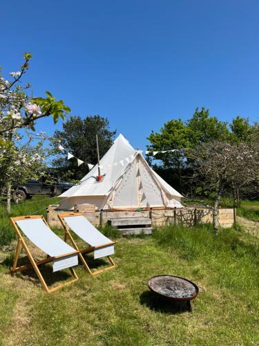 Ottery St Mary Other | Bowhayes Farm - Camping & Glamping - Bell Tents - Cider Orchard