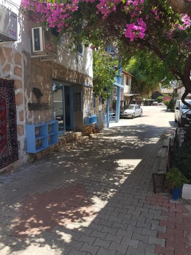 Kaleucagiz Bed & Breakfast | Boynuz Ağacı pansiyon