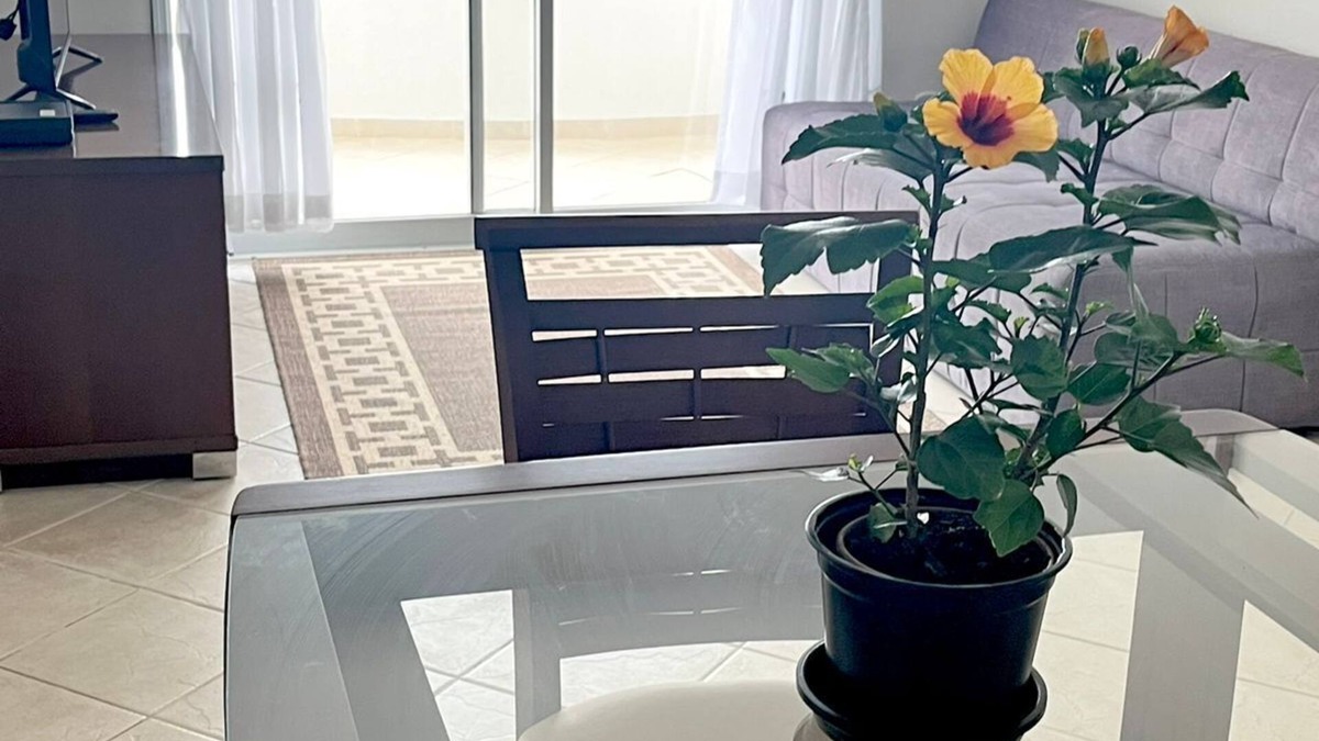 Sao Jose dos Campos Apartment | Pérola do Aquarius II