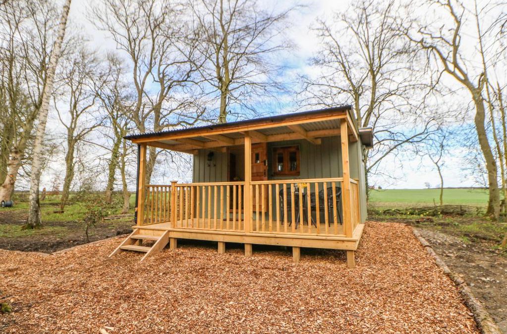Aldbrough St. John House | Bracken Fern