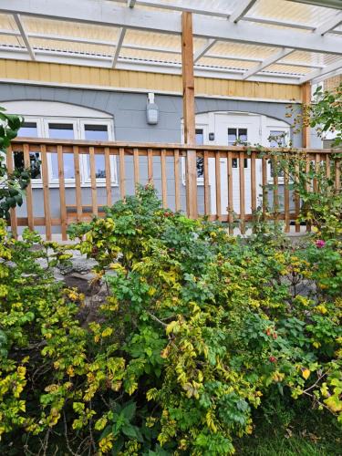 Granna Apartment | Brahe 65
