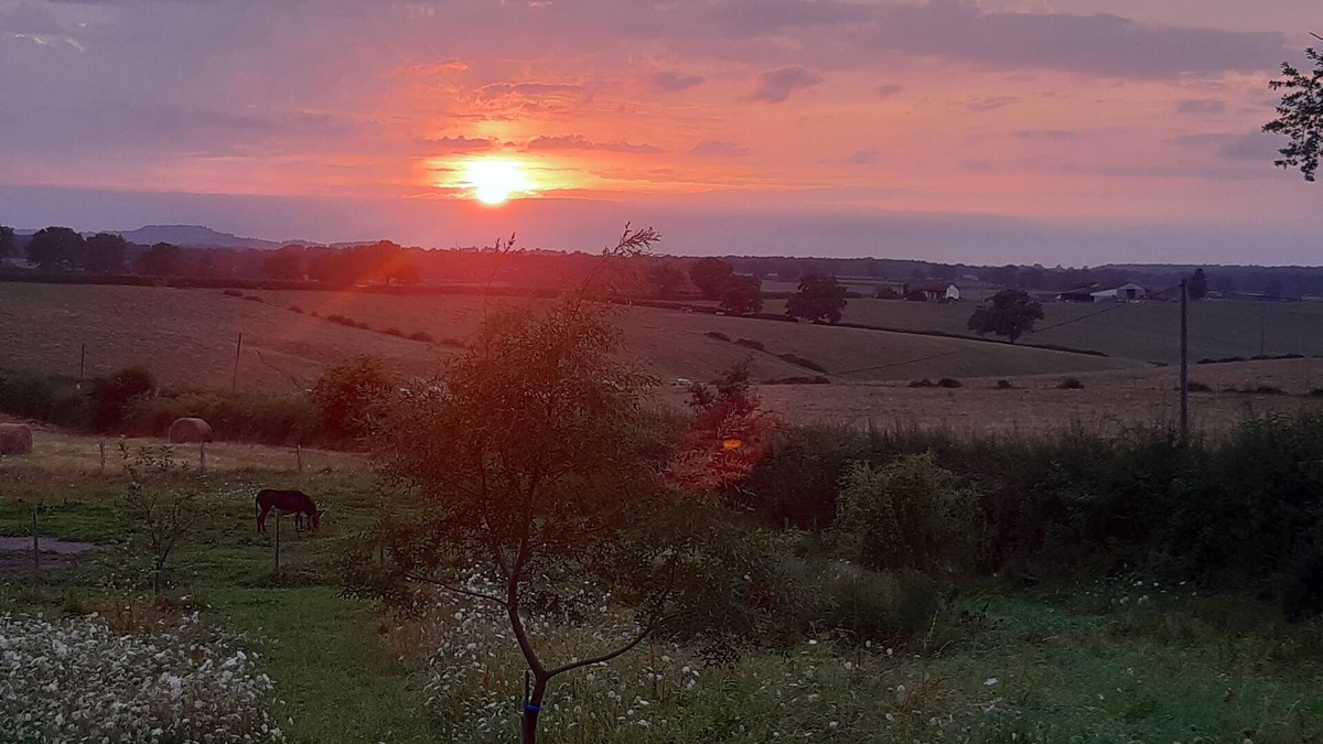 Saint-Didier-en-Donjon Cottage | Bramble Cottage. A charming gîte in the heart of the French countryside