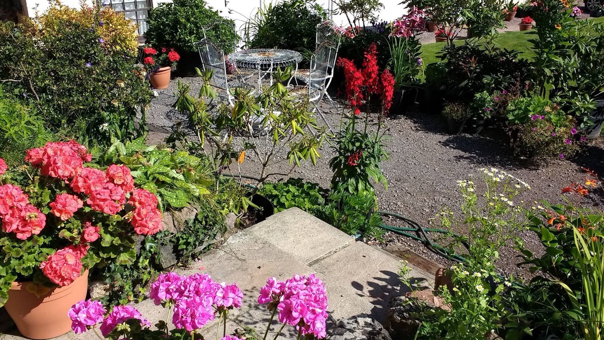 Tiverton Bed & Breakfast | Brambles Bed and Breakfast