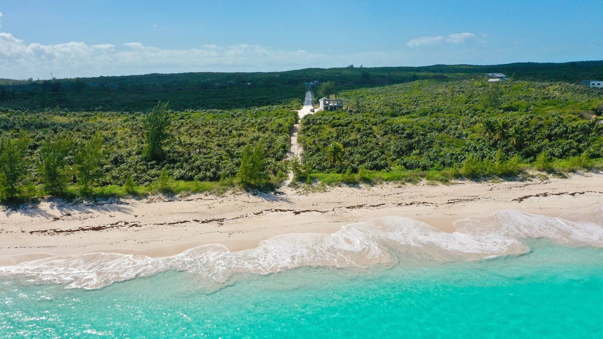 North Palmetto Point Cottage | Brand New Cottage on Banks Rd, Steps from Famous B