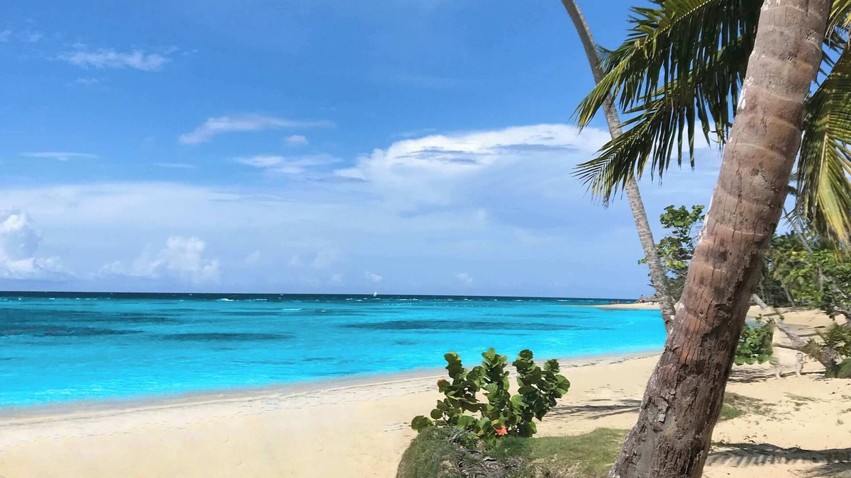 Portillo Villa | Breathtaking Beachfront Mansion - Your Own Private Resort