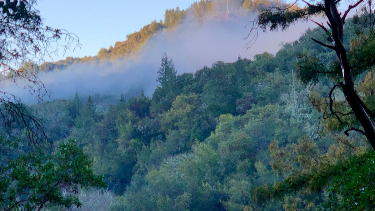 Napa Apartment | Breathtaking Napa Valley 30-day rental!