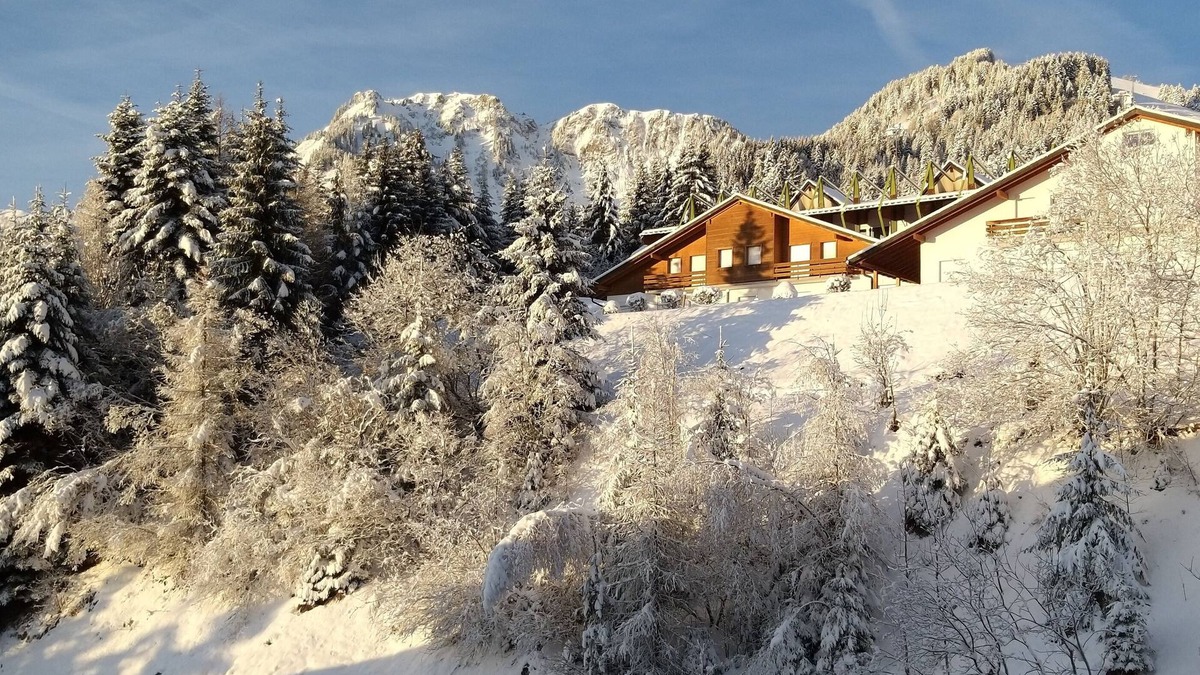 Vionnaz Apartment | Breathtaking view of the mountains