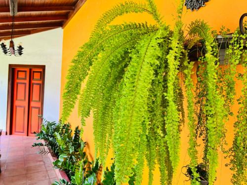 Nugegoda Bed & Breakfast | Breeze of Paradise
