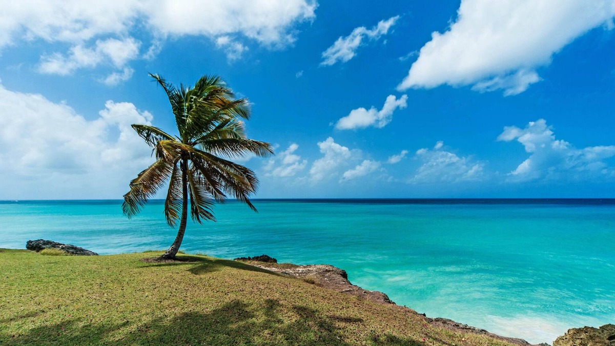Belair House | Breezy Haven in Barbados, 4 minutes from Crane Beach!