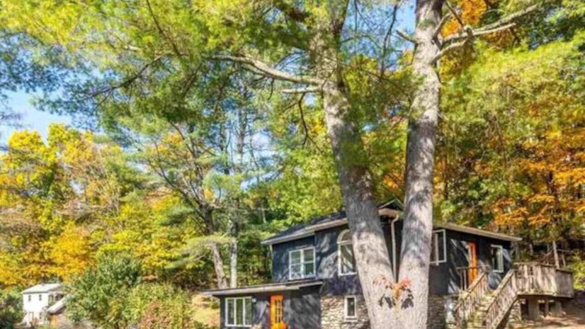 Town of Marbletown Cabin | Breezy Hill 3BR Modern & Quiet Home in Catskills