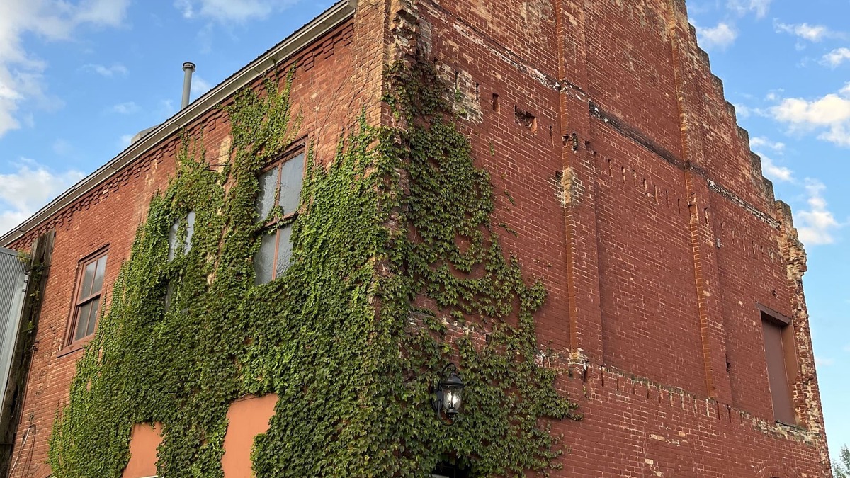Waseca House | Brick & Vine Suite - Newly Remodeled!