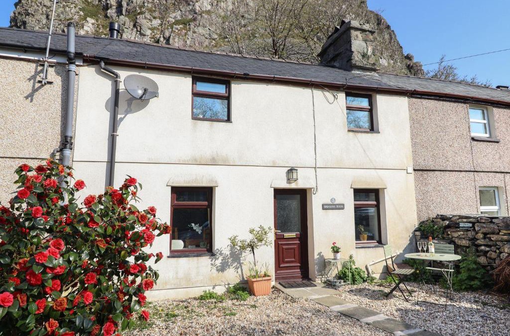 Rhiwbryfdir House | Bridgeway House