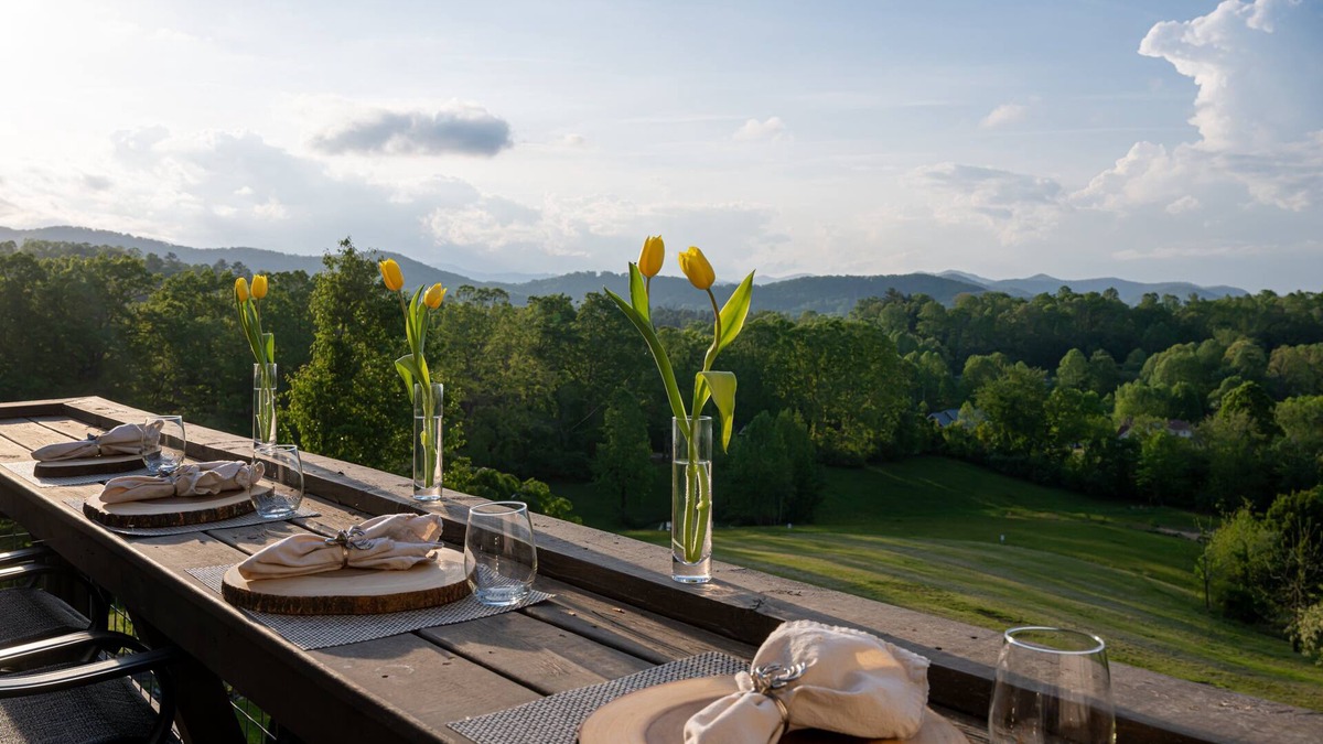 Mills River House | Bridlewood Farm | Hot Tub | Mountain Views