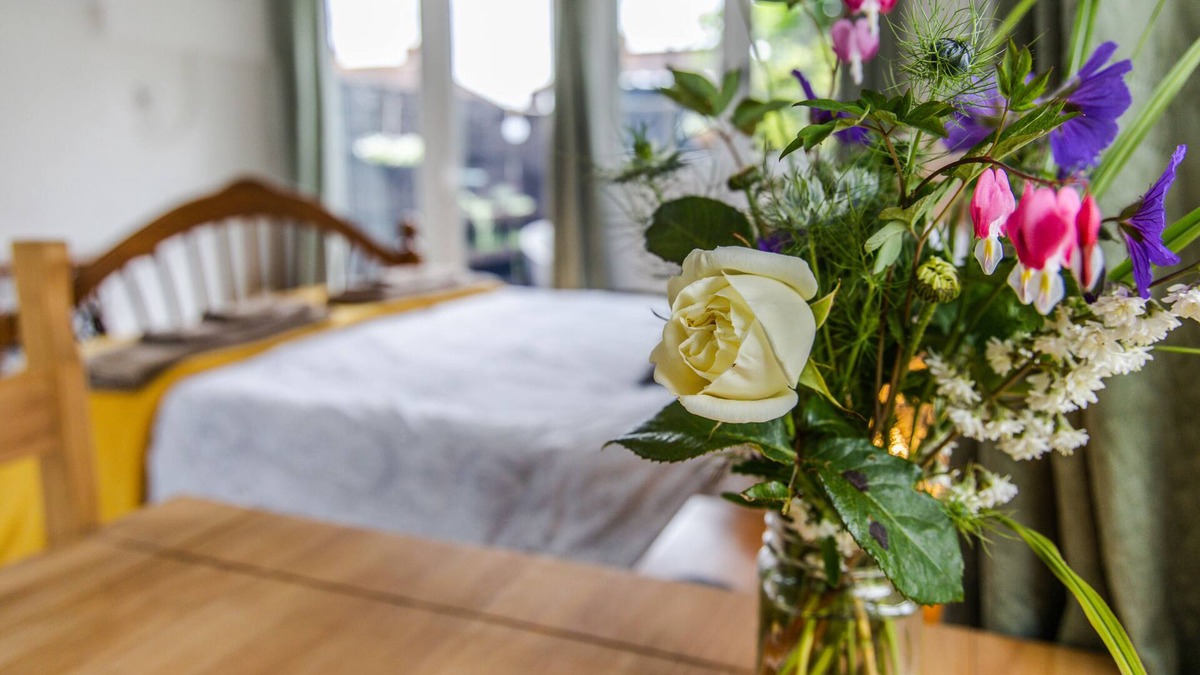 Williton Apartment | Bright and airy garden studio