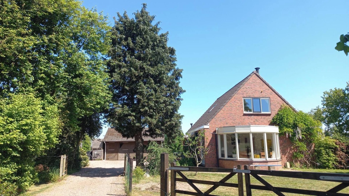 Wedde House | Bright and comfortable house, large fenced yard, toys, hiking, wood stove!