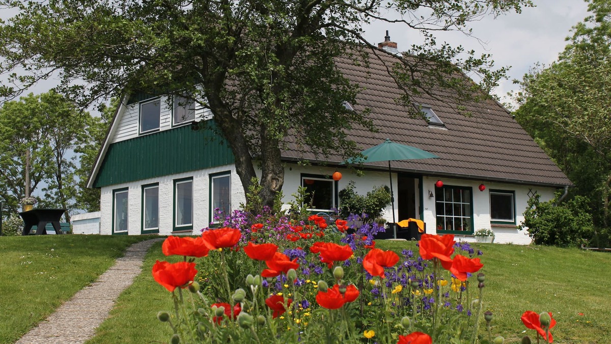 Kating Apartment | bright apartment in a secluded location with a view of nature, pets welcome