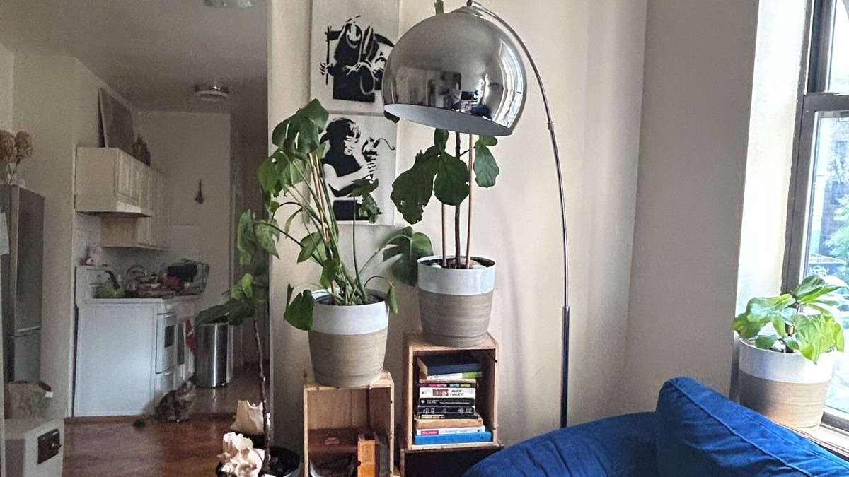 Brooklyn Apartment | BRIGHT, BOHO ARTIST 2 BED LOCATED 1 BLOCK FROM PROSPECT PARK & EXPRESS TRAIN