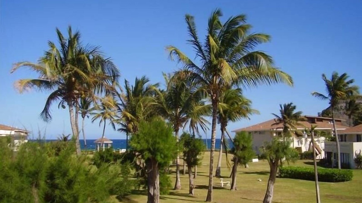 Frigate Bay Condo | Bright, Breezy Condo on the Palmy Shore