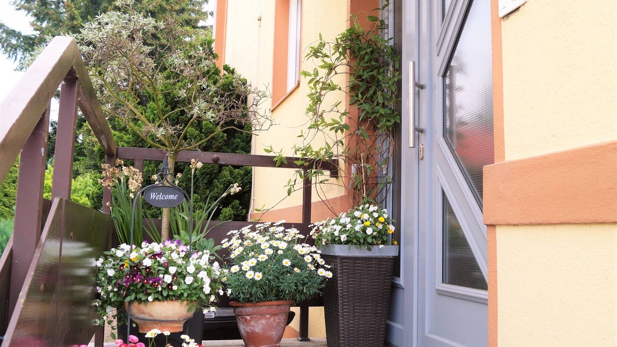 Celle Apartment | Bright, friendly 2-room apartment close to the city center