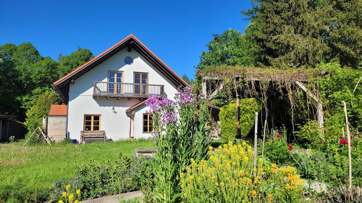 Rott House | Bright holiday home in a clearing