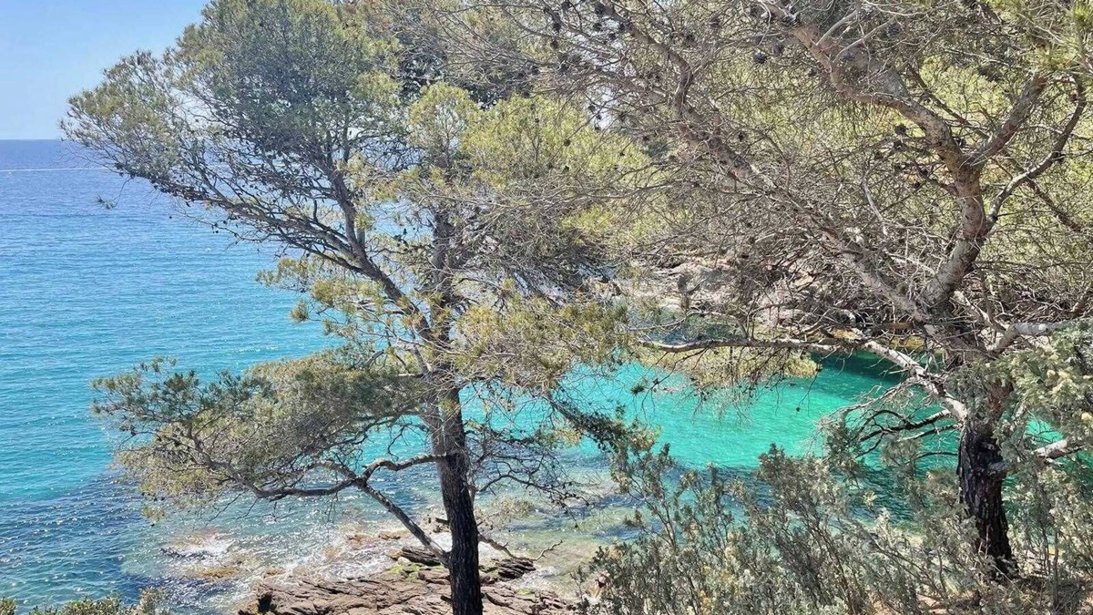 Cavaliere House | Bright house close to the calanque