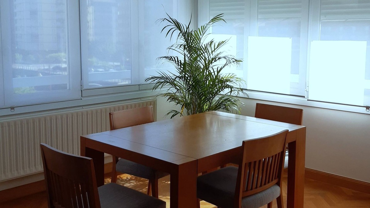 Zumaia Condo | Bright housing on the coast
