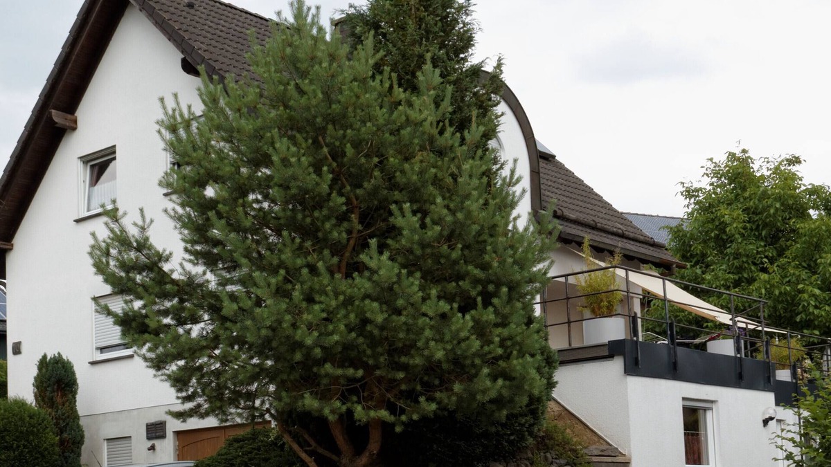 Ulmen Apartment | Bright, modern apartment between Nürburgring and Moselle, close to nature