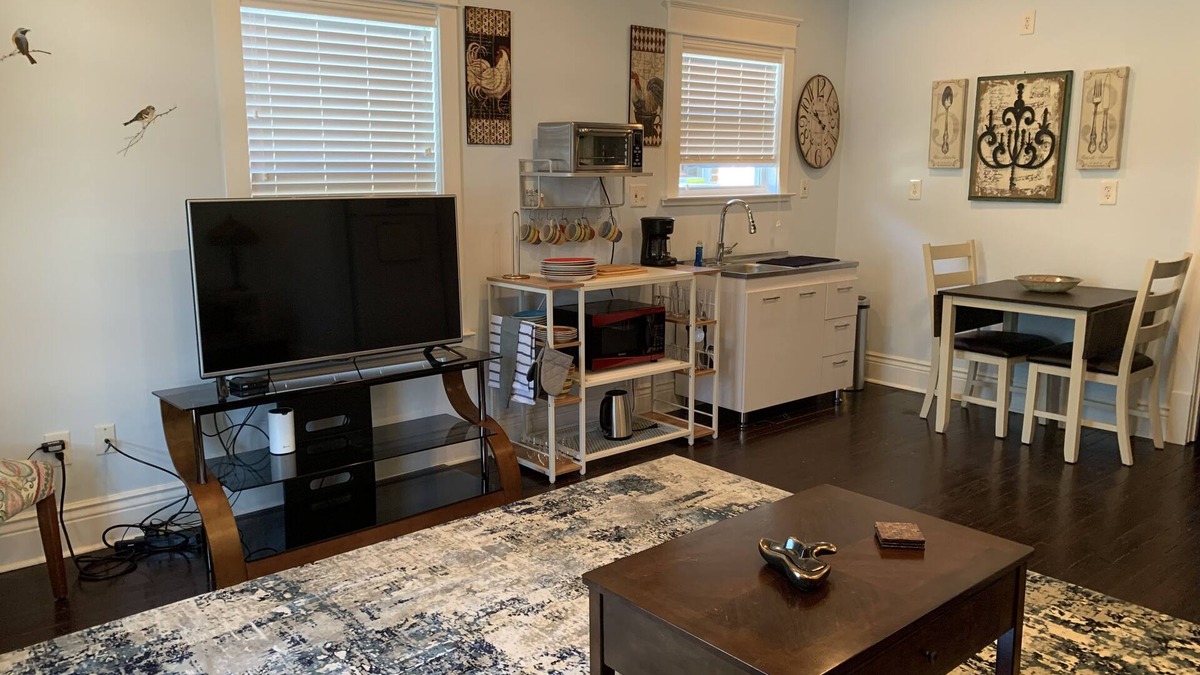 Leonidas Apartment | Bright, Roomy, Private 1/1 in Historic Riverbend