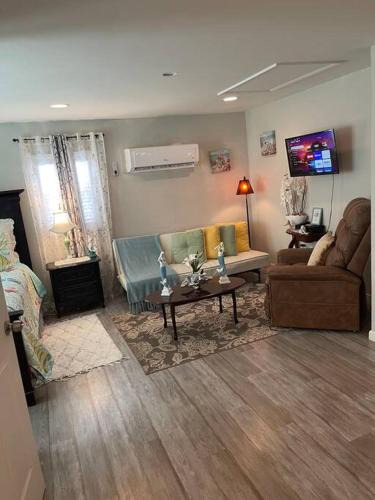Southside Apartment | Bright Spacious Studio Near City and Palm Beach