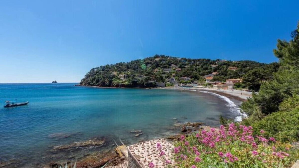 Tamaris Apartment | Bright studio - 50 m from the sea